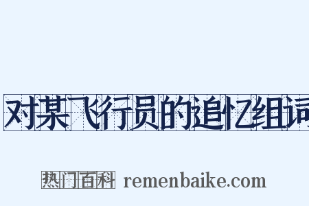 对某飞行员的追忆组词是什么意思的图片